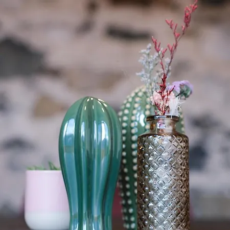 1494 Wohnen Und Kultur Im Denkmal Apartamento *