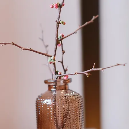 1494 Wohnen Und Kultur Im Denkmal * Mieming