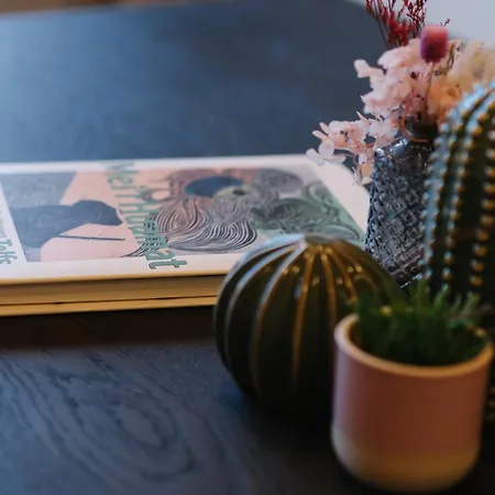 1494 Wohnen Und Kultur Im Denkmal Daire *