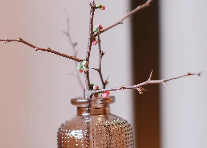 1494 Wohnen Und Kultur Im Denkmal * 미에밍